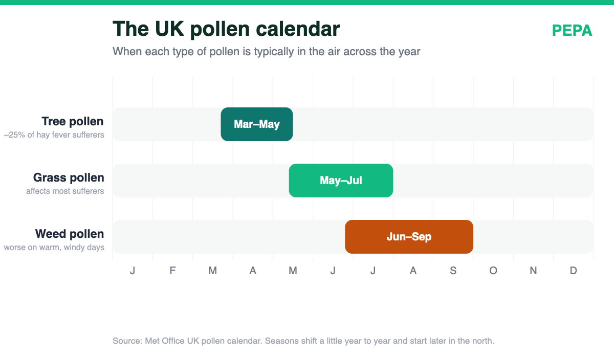 The UK pollen calendar showing when tree, grass and weed pollen are in the air across the year